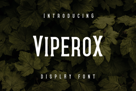 Viperox: A Bold Display Font for Creative Projects